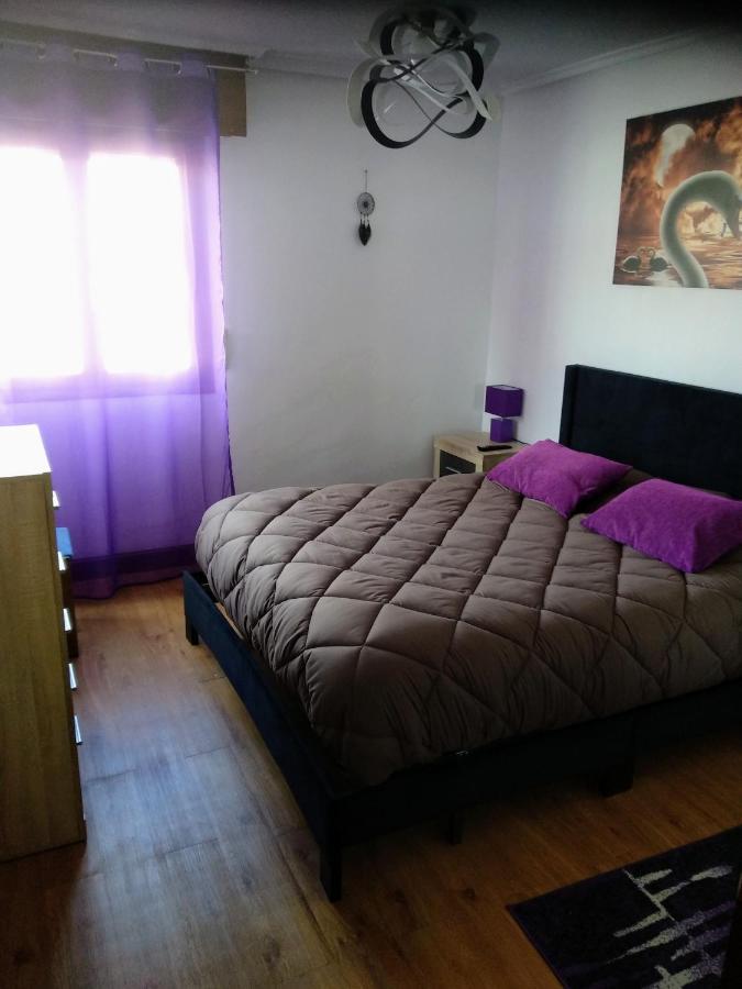 Vivienda Uso Turistico El Vie Apartment Villarcayo Exterior photo